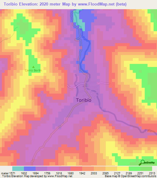 Toribio,Colombia Elevation Map