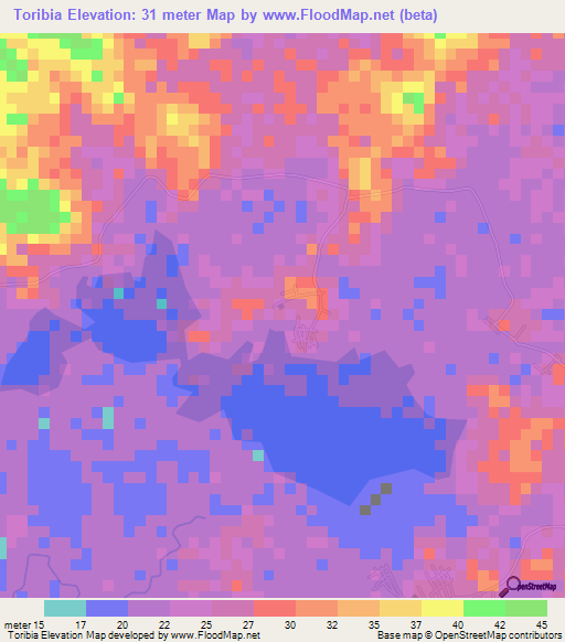 Toribia,Colombia Elevation Map