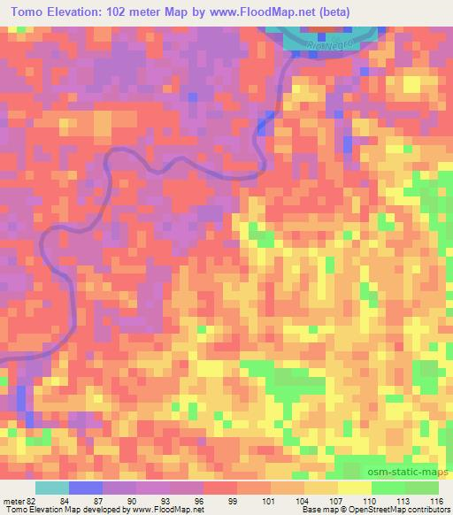 Tomo,Colombia Elevation Map