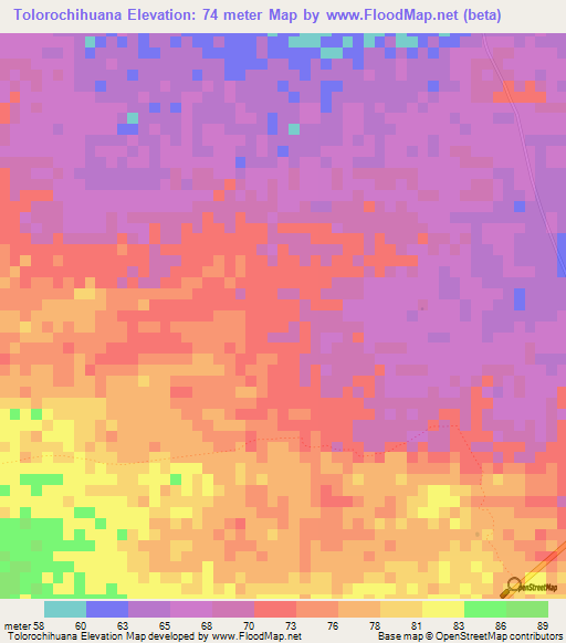 Tolorochihuana,Colombia Elevation Map