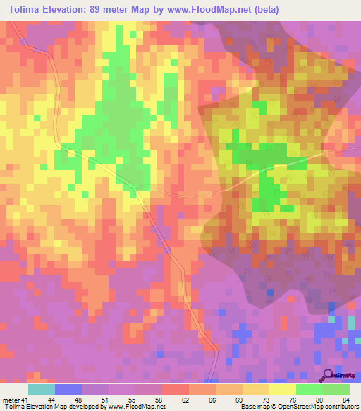 Tolima,Colombia Elevation Map