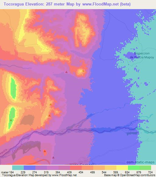 Tocoragua,Colombia Elevation Map