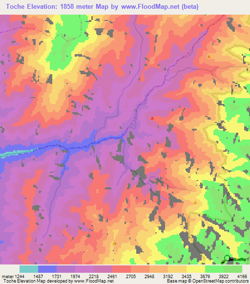 Toche,Colombia Elevation Map