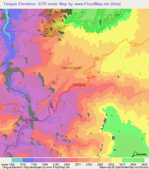 Tangua,Colombia Elevation Map