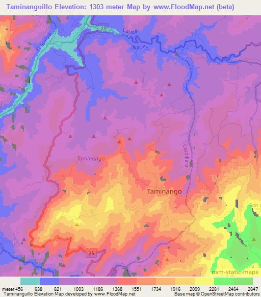 Taminanguillo,Colombia Elevation Map