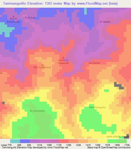 Taminanguillo,Colombia Elevation Map