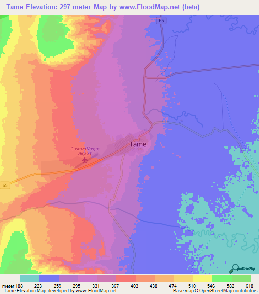 Tame,Colombia Elevation Map