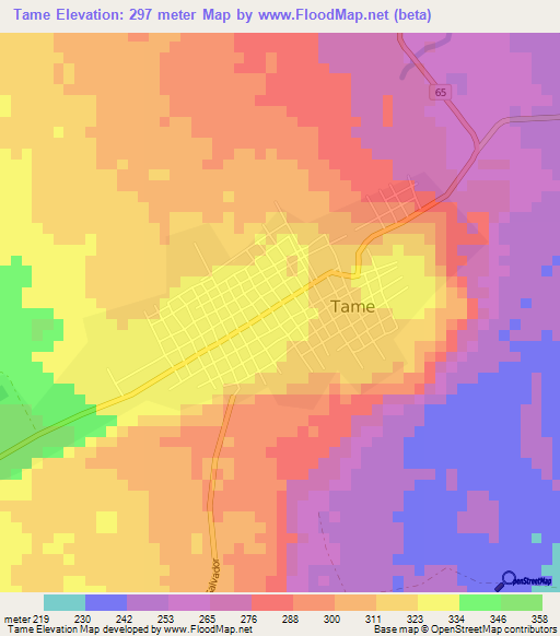 Tame,Colombia Elevation Map