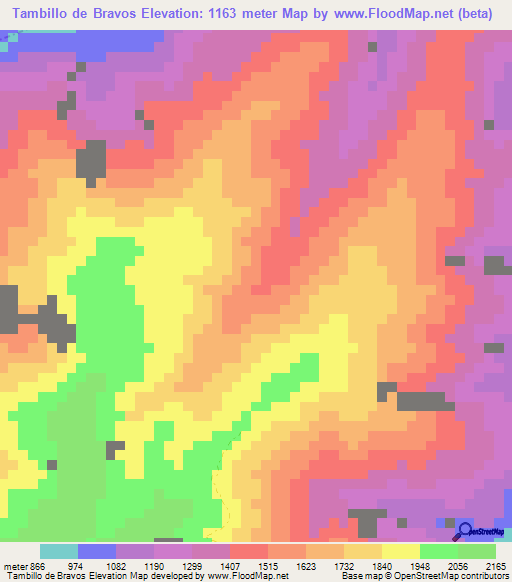 Tambillo de Bravos,Colombia Elevation Map