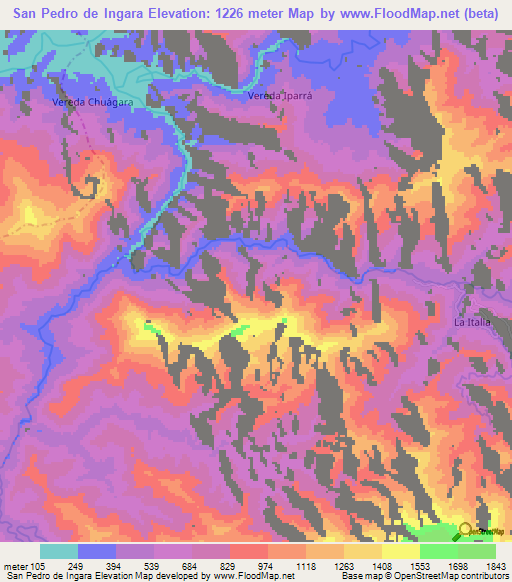 San Pedro de Ingara,Colombia Elevation Map