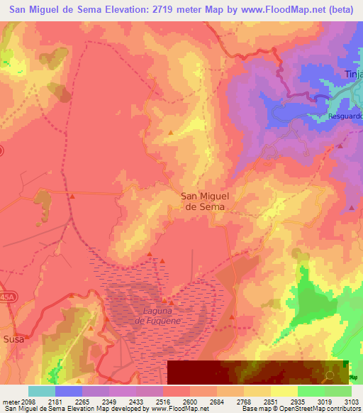 San Miguel de Sema,Colombia Elevation Map