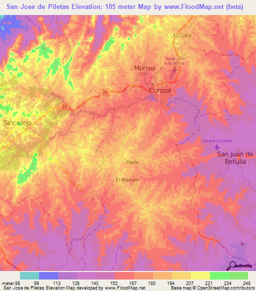 San Jose de Piletas,Colombia Elevation Map