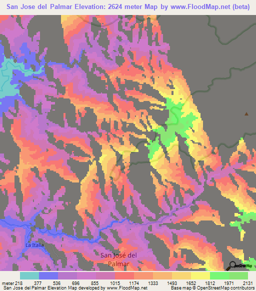 San Jose del Palmar,Colombia Elevation Map