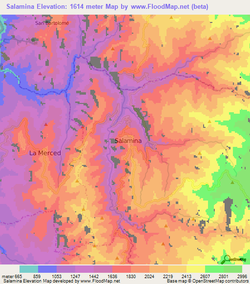 Salamina,Colombia Elevation Map