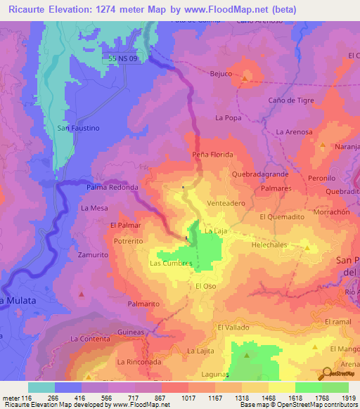 Ricaurte,Colombia Elevation Map