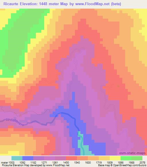 Ricaurte,Colombia Elevation Map