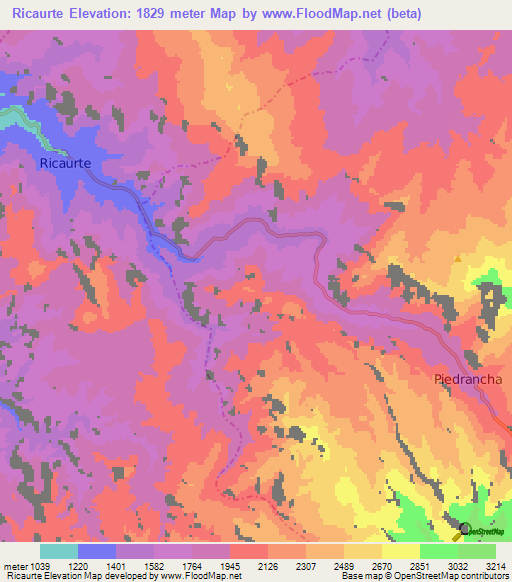 Ricaurte,Colombia Elevation Map