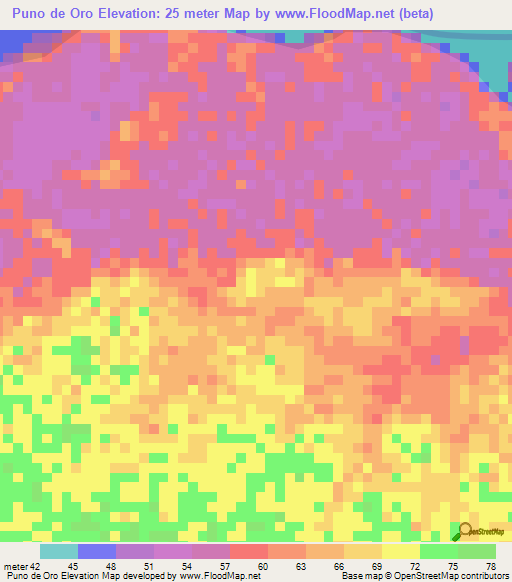 Puno de Oro,Colombia Elevation Map