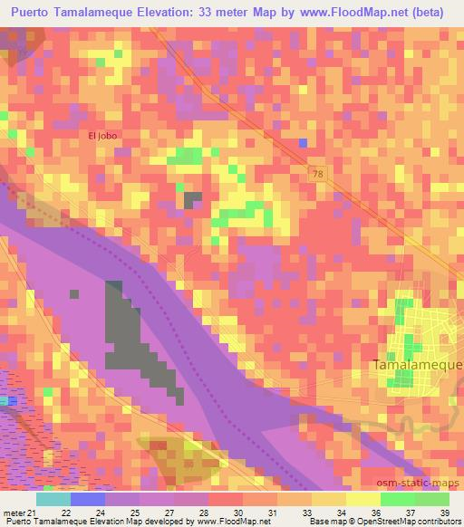 Puerto Tamalameque,Colombia Elevation Map