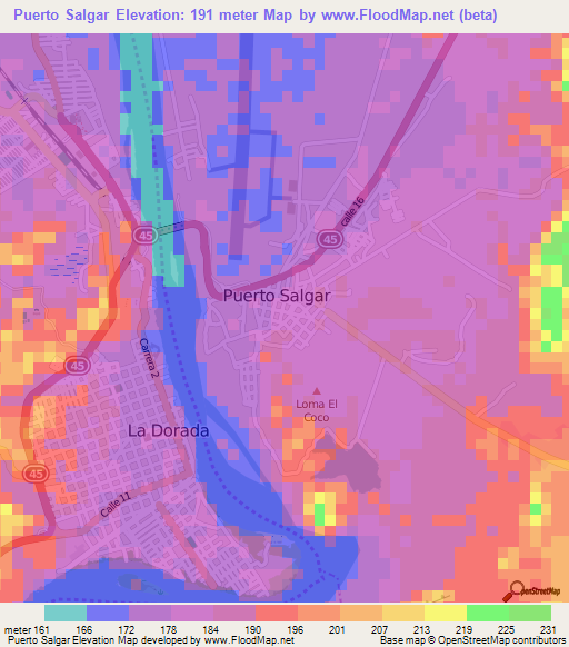 Puerto Salgar,Colombia Elevation Map