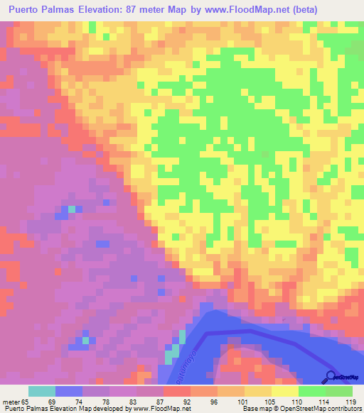 Puerto Palmas,Colombia Elevation Map