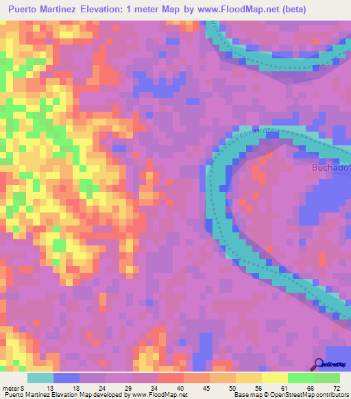 Puerto Martinez,Colombia Elevation Map