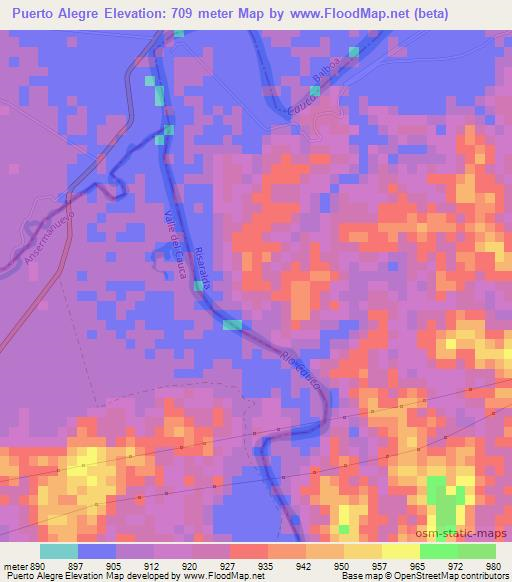 Puerto Alegre,Colombia Elevation Map