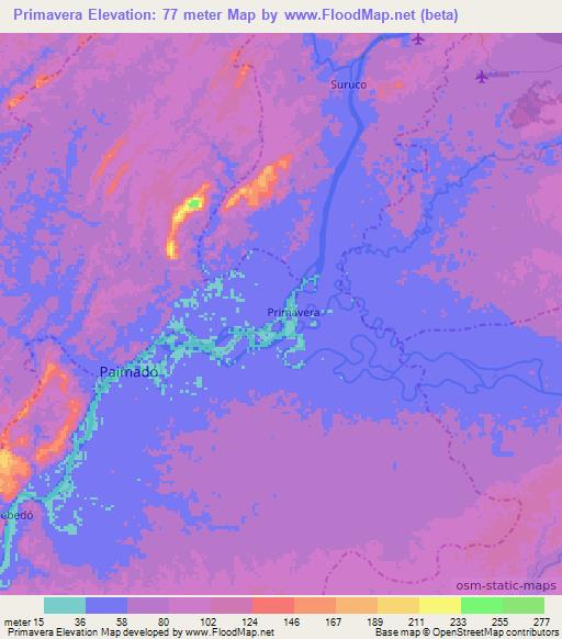 Primavera,Colombia Elevation Map