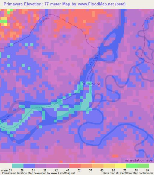 Primavera,Colombia Elevation Map