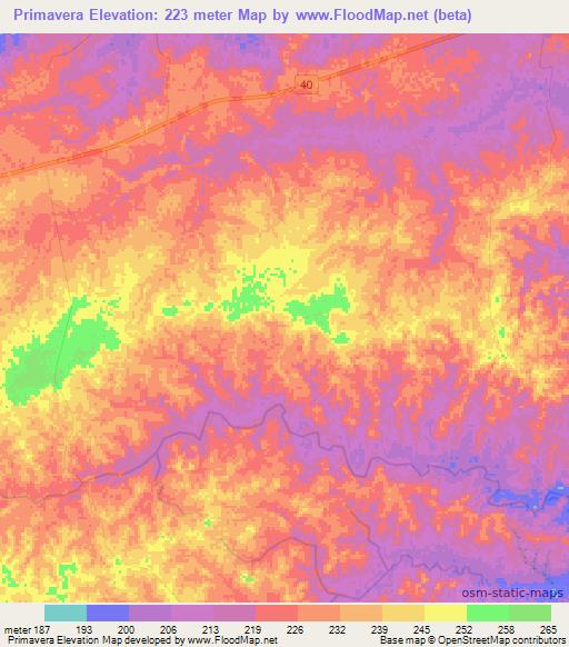 Primavera,Colombia Elevation Map