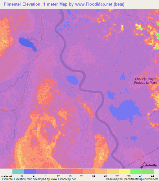 Pimentel,Colombia Elevation Map