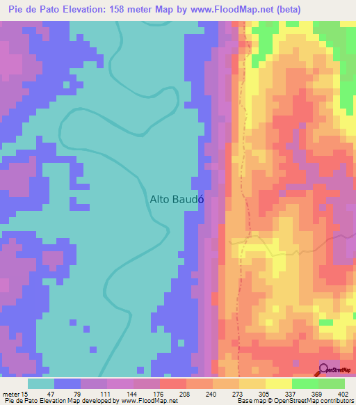 Pie de Pato,Colombia Elevation Map