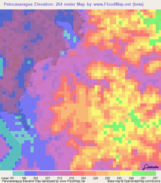 Petocasaragua,Colombia Elevation Map