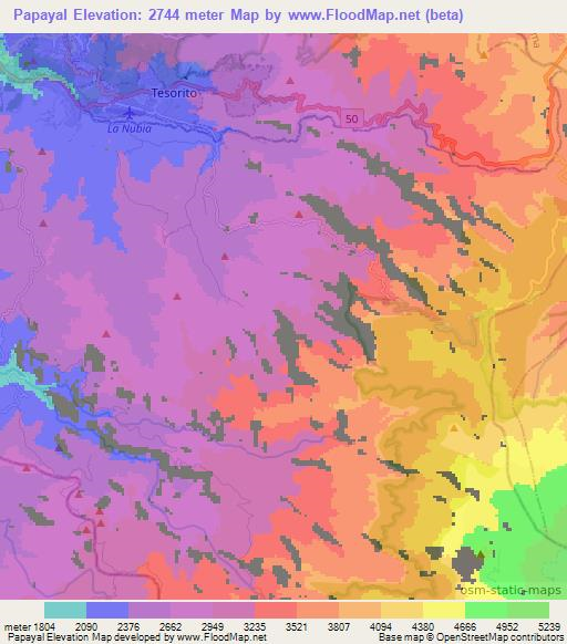 Papayal,Colombia Elevation Map