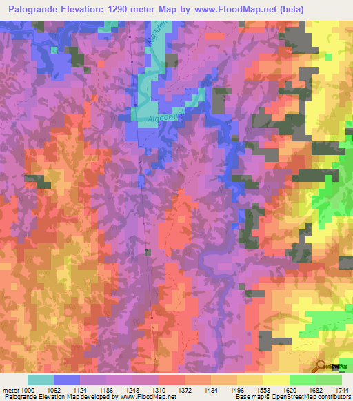 Palogrande,Colombia Elevation Map