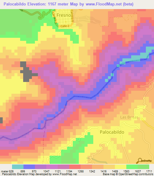 Palocabildo,Colombia Elevation Map