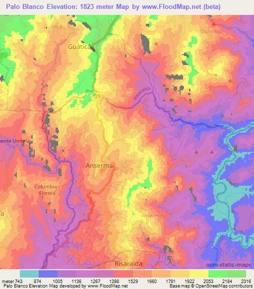 Palo Blanco,Colombia Elevation Map