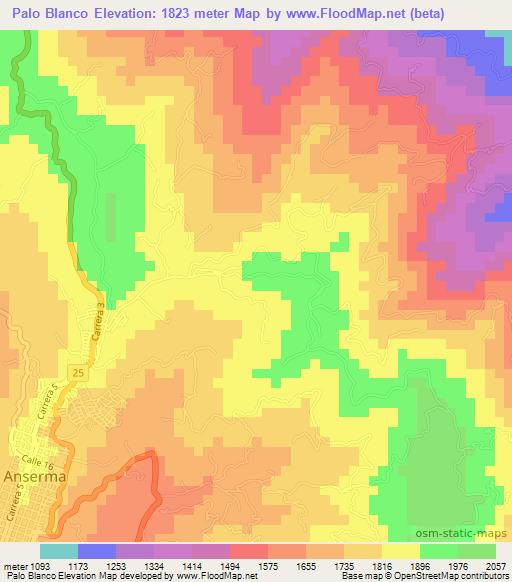 Palo Blanco,Colombia Elevation Map