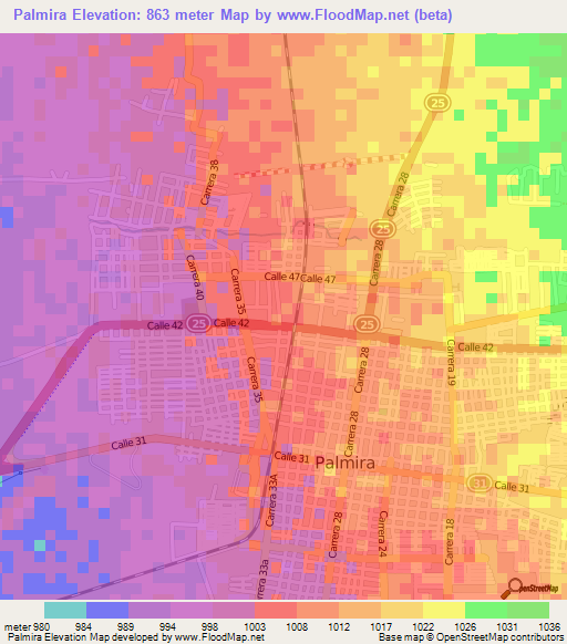 Palmira,Colombia Elevation Map