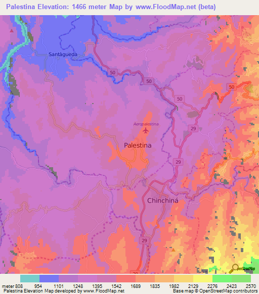 Palestina,Colombia Elevation Map