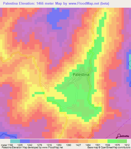 Palestina,Colombia Elevation Map