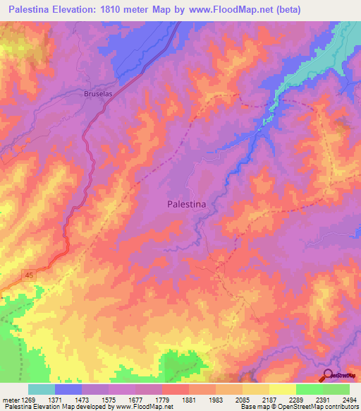 Palestina,Colombia Elevation Map