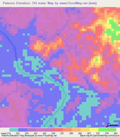 Palermo,Colombia Elevation Map