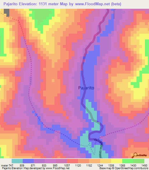 Pajarito,Colombia Elevation Map