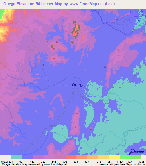 Ortega,Colombia Elevation Map