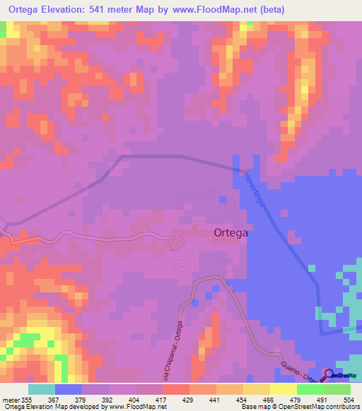 Ortega,Colombia Elevation Map