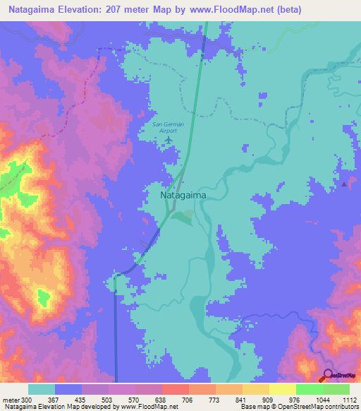 Natagaima,Colombia Elevation Map