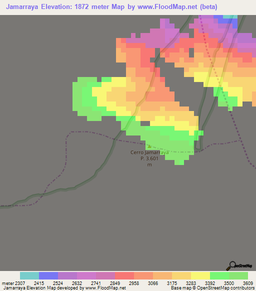 Jamarraya,Colombia Elevation Map