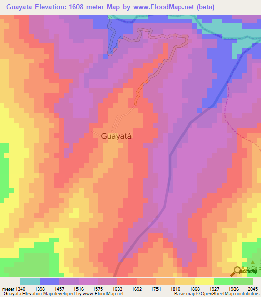 Guayata,Colombia Elevation Map