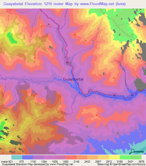 Guayabetal,Colombia Elevation Map